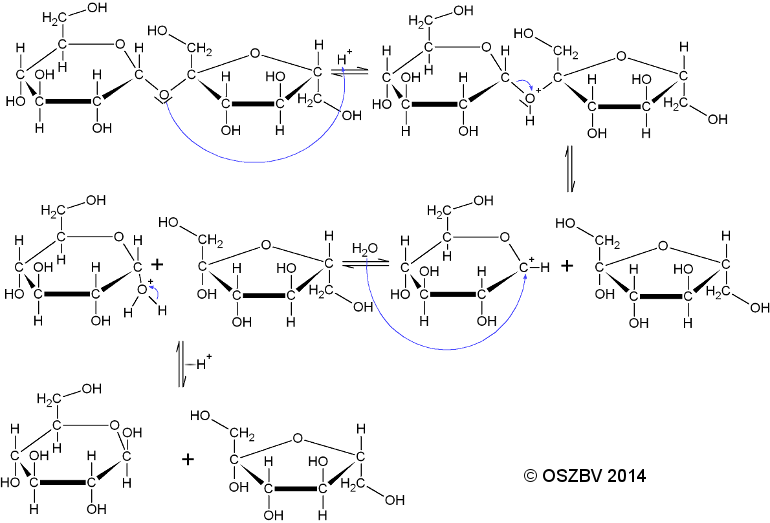 Chemieseite OSZBIV